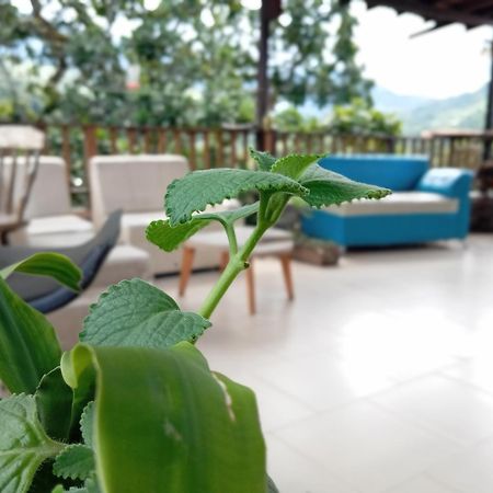 Hostal Los Wichos Minca Eksteriør billede