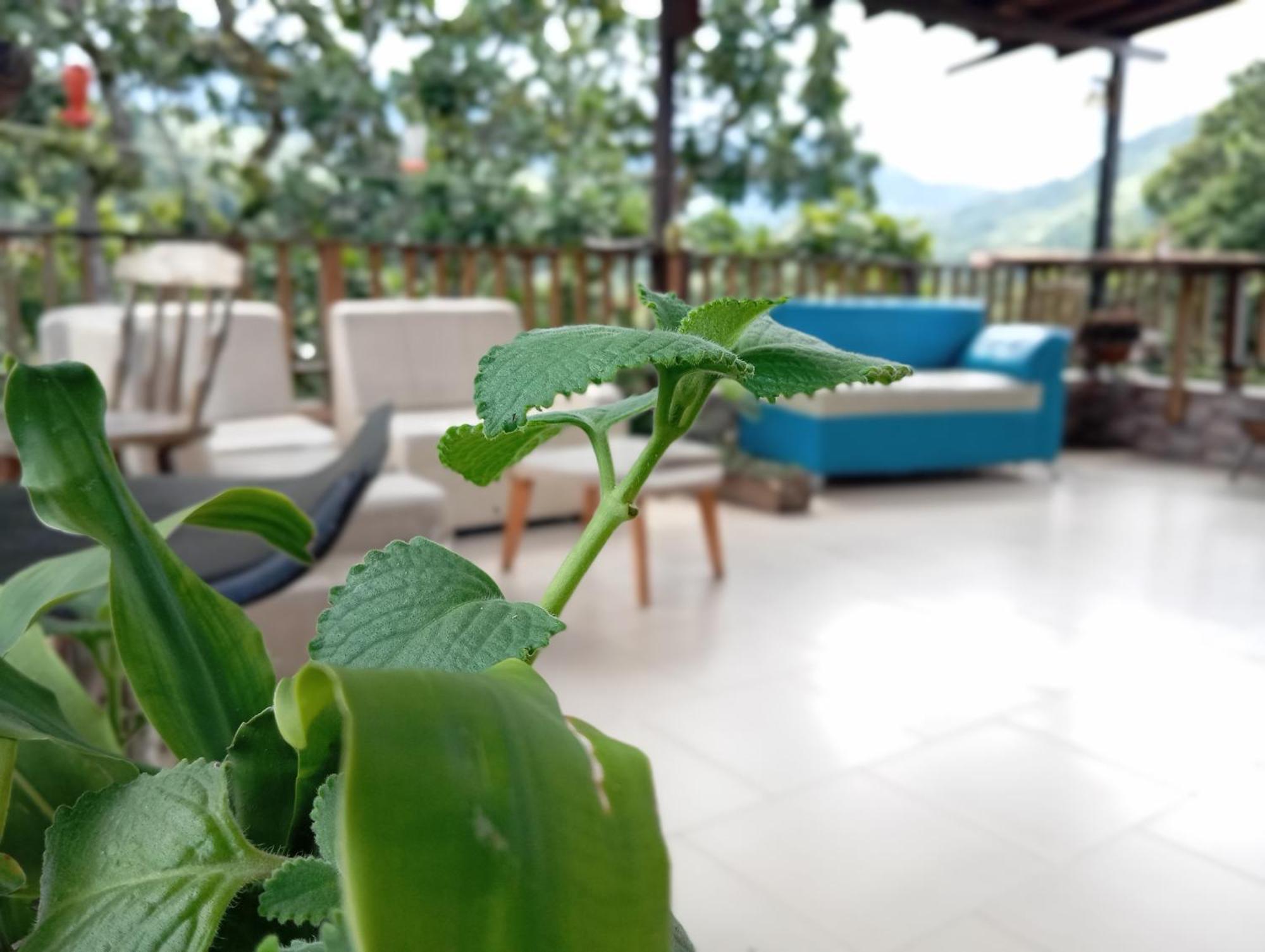 Hostal Los Wichos Minca Eksteriør billede